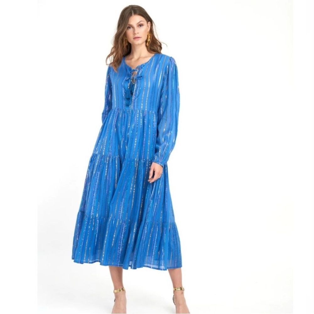 Tuckernuck Oliphant Rio Long Sleeve Metallic Striped Blue Cotton Maxi Dress Med